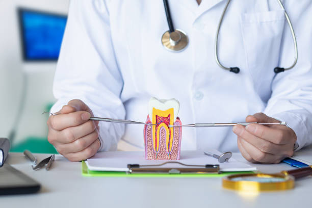 Best Emergency Dental Extractions in Hephzibah, GA